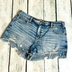 NEW! AERIE DAYDREAM DENIM SHORTS SIZE LARGE